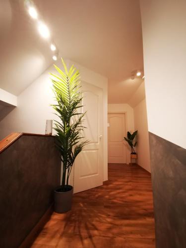 Dunaujvaros Apartment | Pintes 38 A