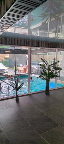 Lupsa Villa | Piscina Margaia