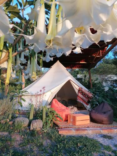 Guayllabamba House | Pishku Wasi