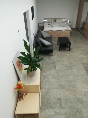 Sentilj v Slovenskih Goricah Apartment | Place near Casino Mond - Apartma Urška