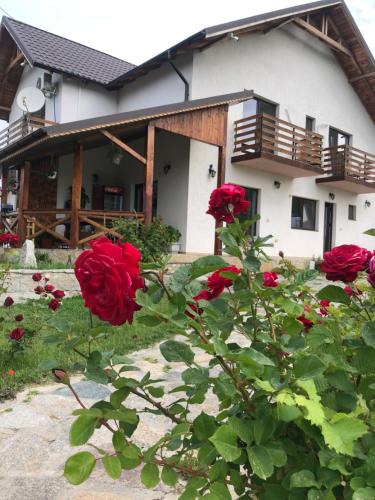Greci House | Plai Dobrogean