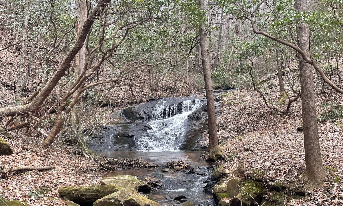 Dahlonega Cabin | Plan your winter weekend getaway with us!