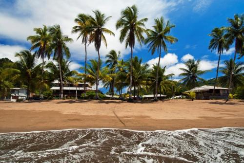 Bahia Solano Cabin | Playa de Oro Lodge