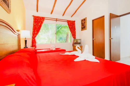 Playacar House | Playacar - Executive Budget Room With Swimming Pool Air Conditioning and Parking