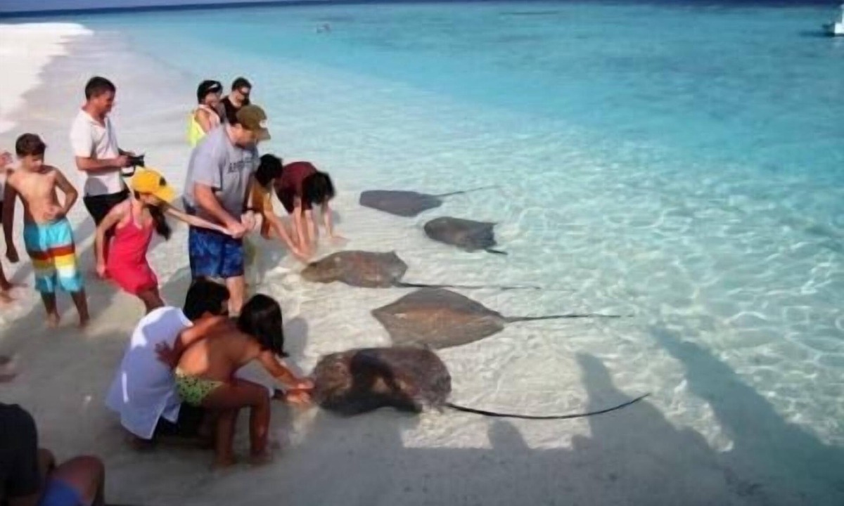Thulhaadho House | Plus View Maldives