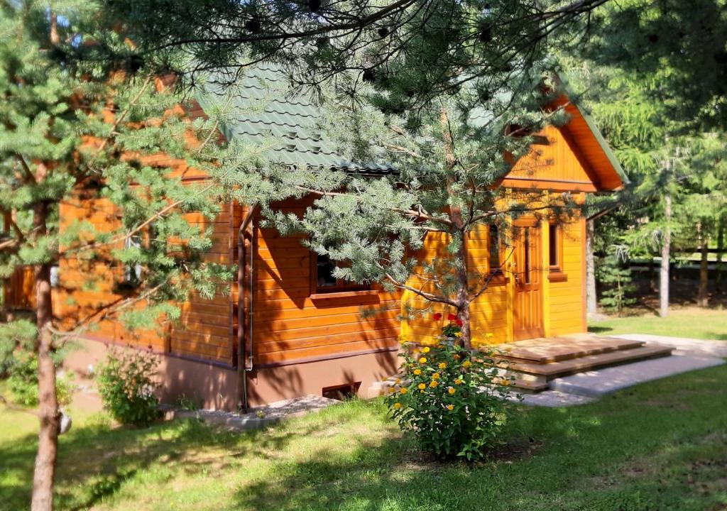 Giby House | Pod Dębem Bis