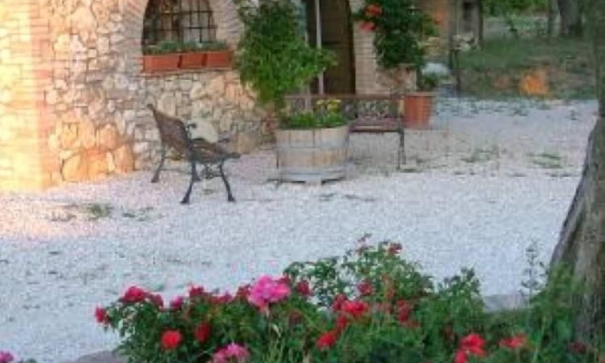 Amelia House | Podere dell'Olmo charming countryhouse close to Rome, Spoleto, Perugia