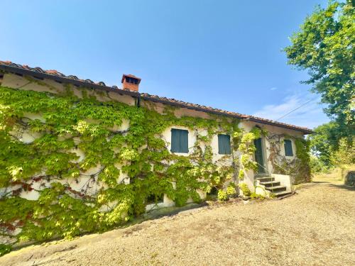 Reggello Villa | Podere Il Cellaino