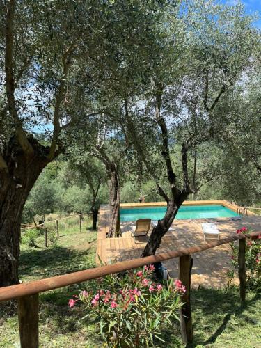 Massarosa Villa | Podere Il Piantoneto