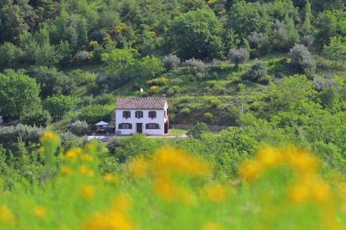 Moscosi Bed & Breakfast | Podere le Serre