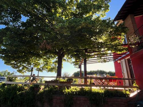 Lari Bed & Breakfast | Podere Orzale Authentic Tuscan Farm Stay with Quarter Horses
