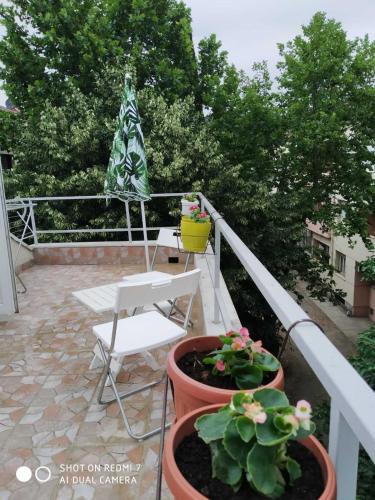 Downtown Apartment | Podgorica-Downtown