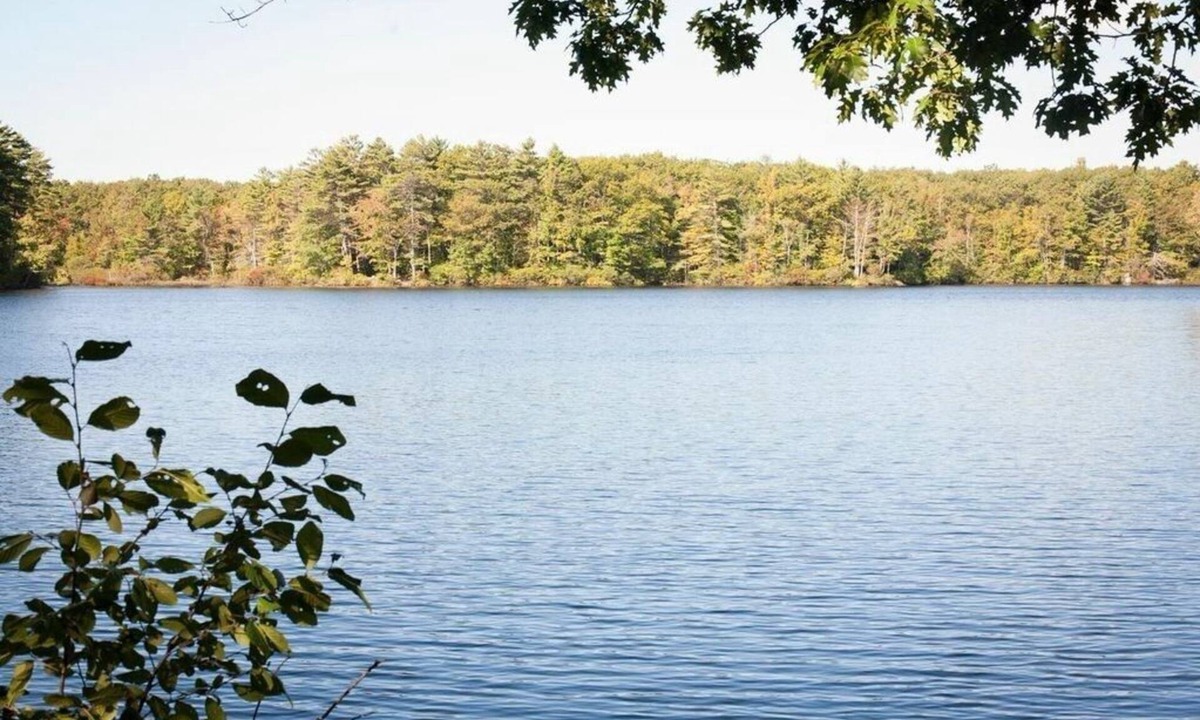 York House | Pond side get away
