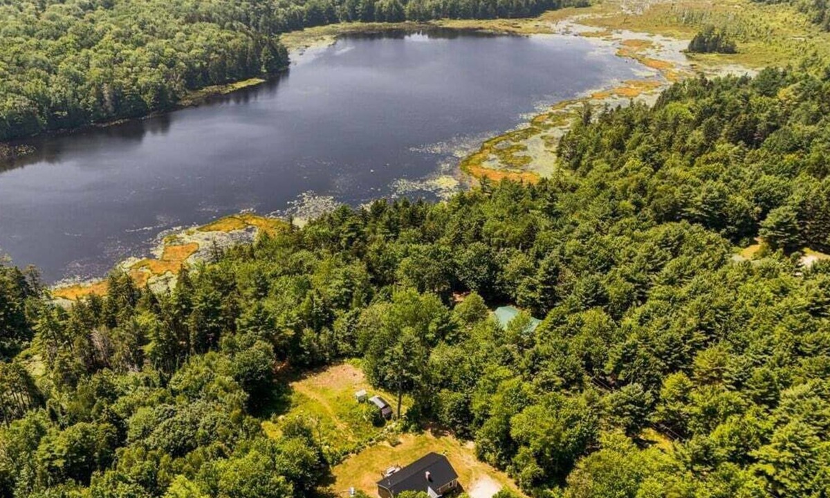 Blue Hill House | Pondside Retreat with Private Island!