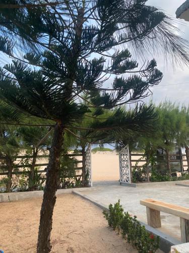 Canoa Quebrada Hostel | Portal do Sol
