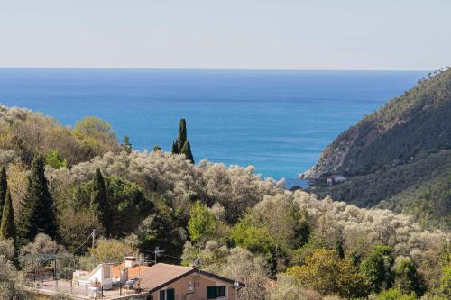 Camposoprano Apartment | Portico