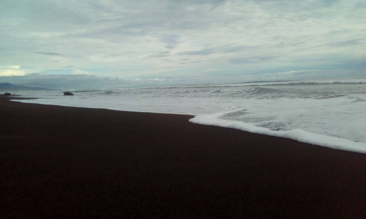 Playa Matapalo Hostel | Posada Alroma - Hostel