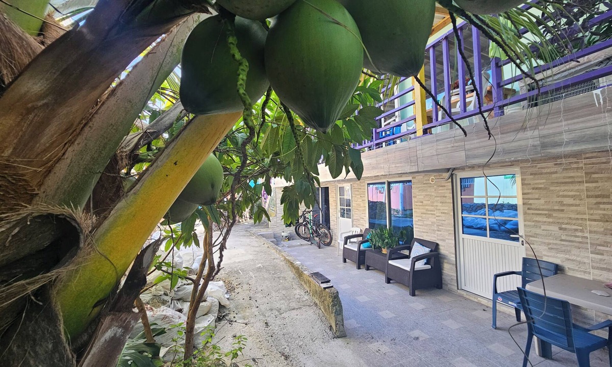 Providencia Hotel | Posada Cedar Valley