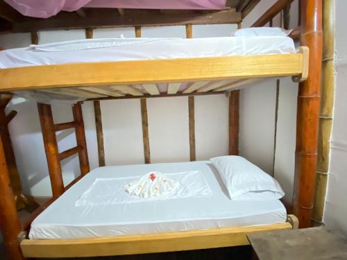 Arusi Bed & Breakfast | Posada mama nati, arusí