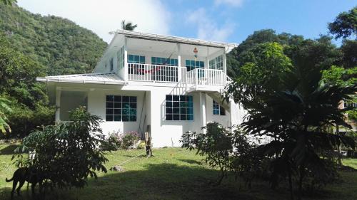 Providencia Hotel | Posada Mango Tree
