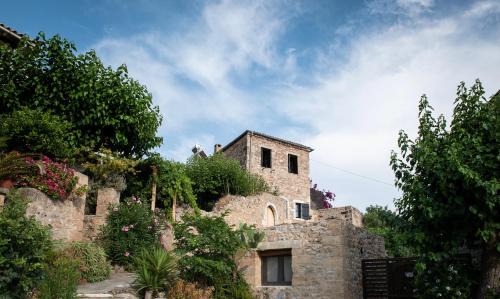 Lefktro Villa | PositiveSpace Olive Tree