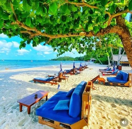 Ilha de Boipeba Hotel | Pousada Boutique Coco Bambu Moreré