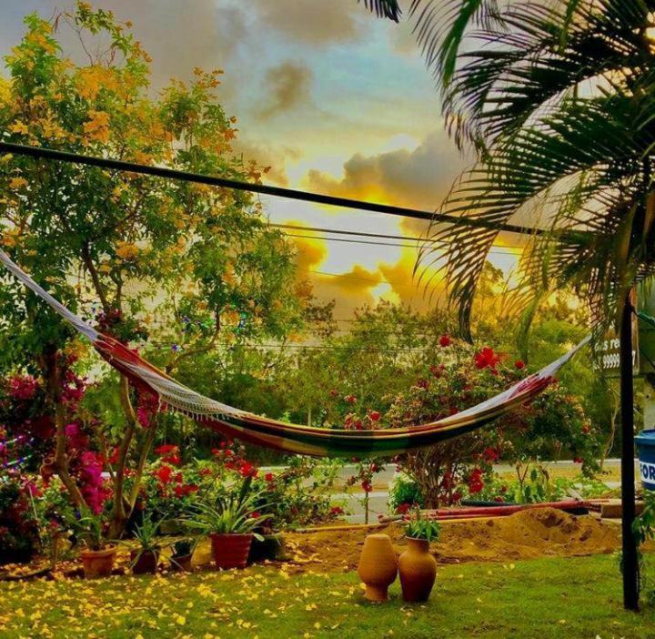 Portal do Sol House | Pousada das Redes