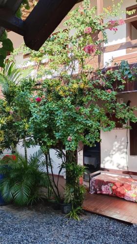 Sitio Hotel | Pousada Laia