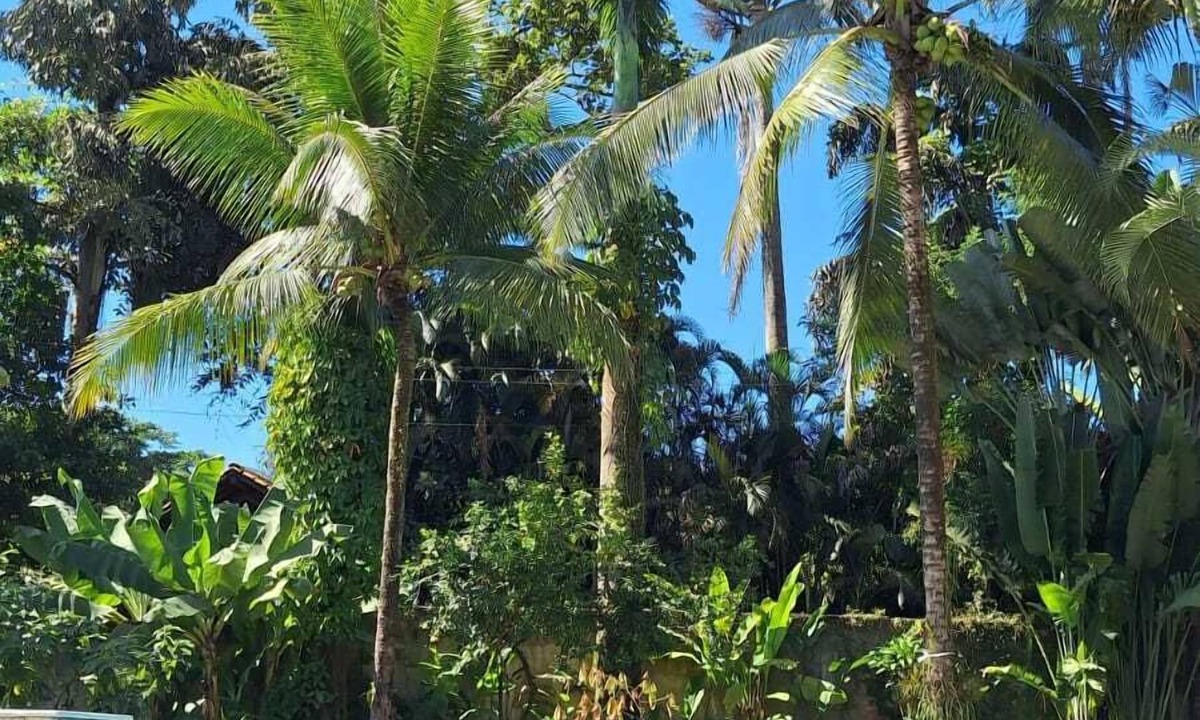 Pantanal Hotel | Pousada Serra Da Bocaina Paraty