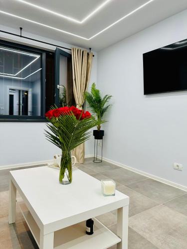 Timisoara Apartment | Ppu Home