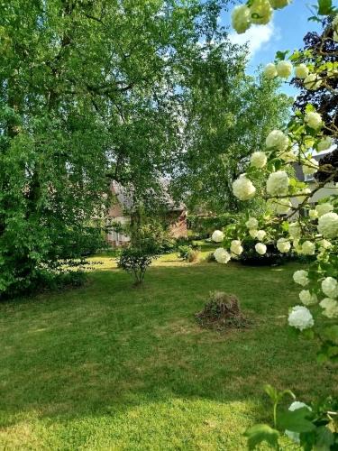 Haute-Epine House | Près du Tilleul