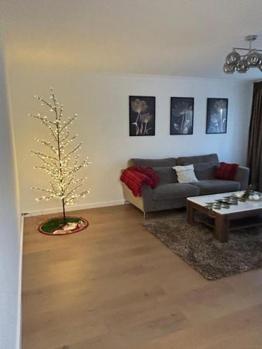 Giurgiu Apartment | PremiumSuites