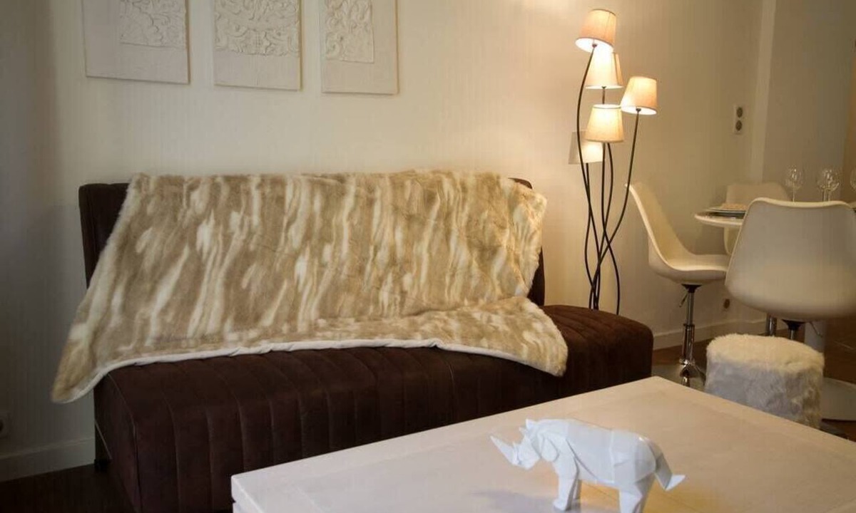 Annecy Apartment | 🎖 Pretty 3 rooms in the city center