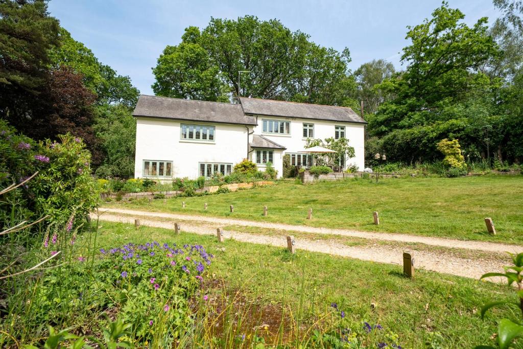 New Forest District House | Primrose Spinney