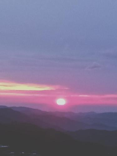 Chail House | Prince Camp Site