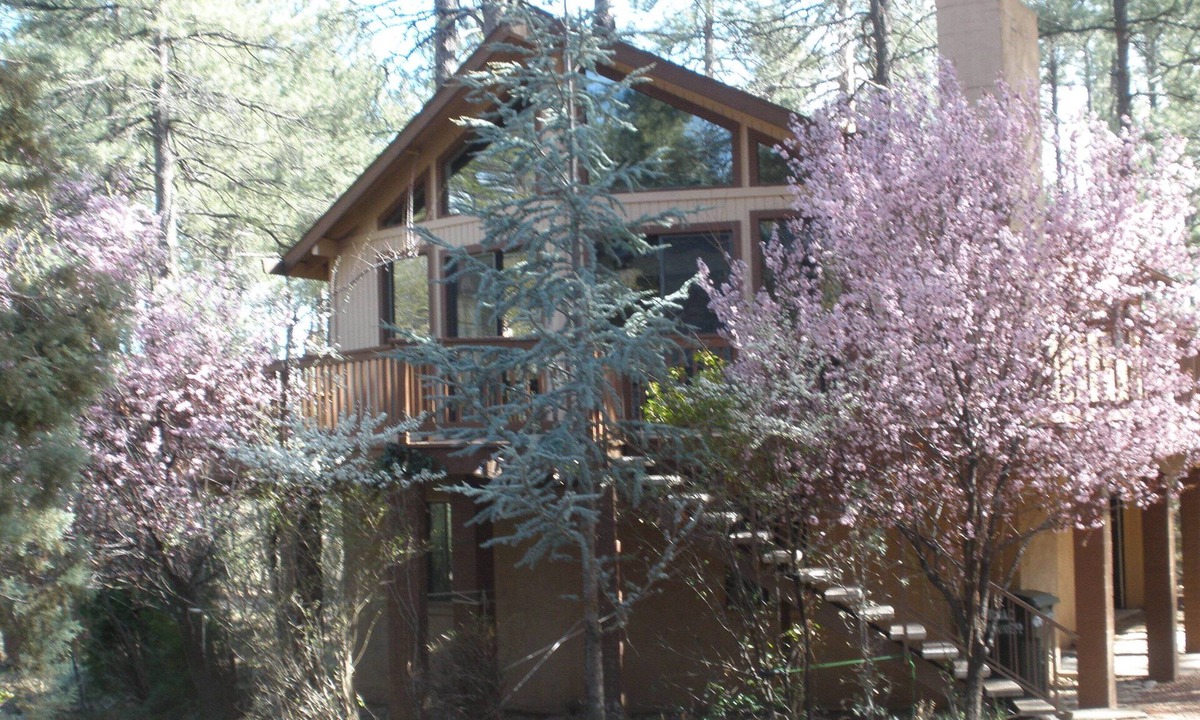Pine Cabin | Privacy! One & 1/2 acre with wrap around deck. Backs the National Forest.
