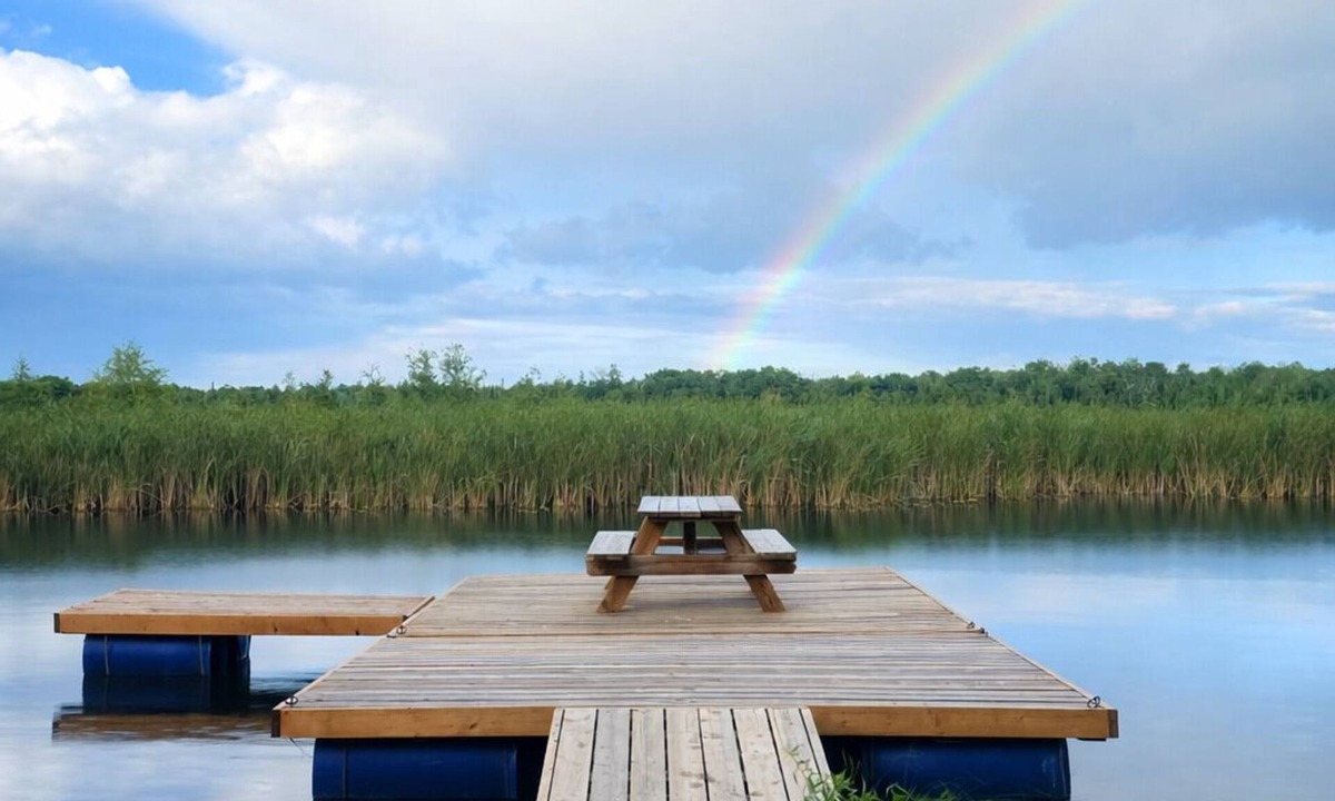 Dunsford House | Private 34 acre Retreat wt Farmhouse | Hottub | Bunkie | Trails