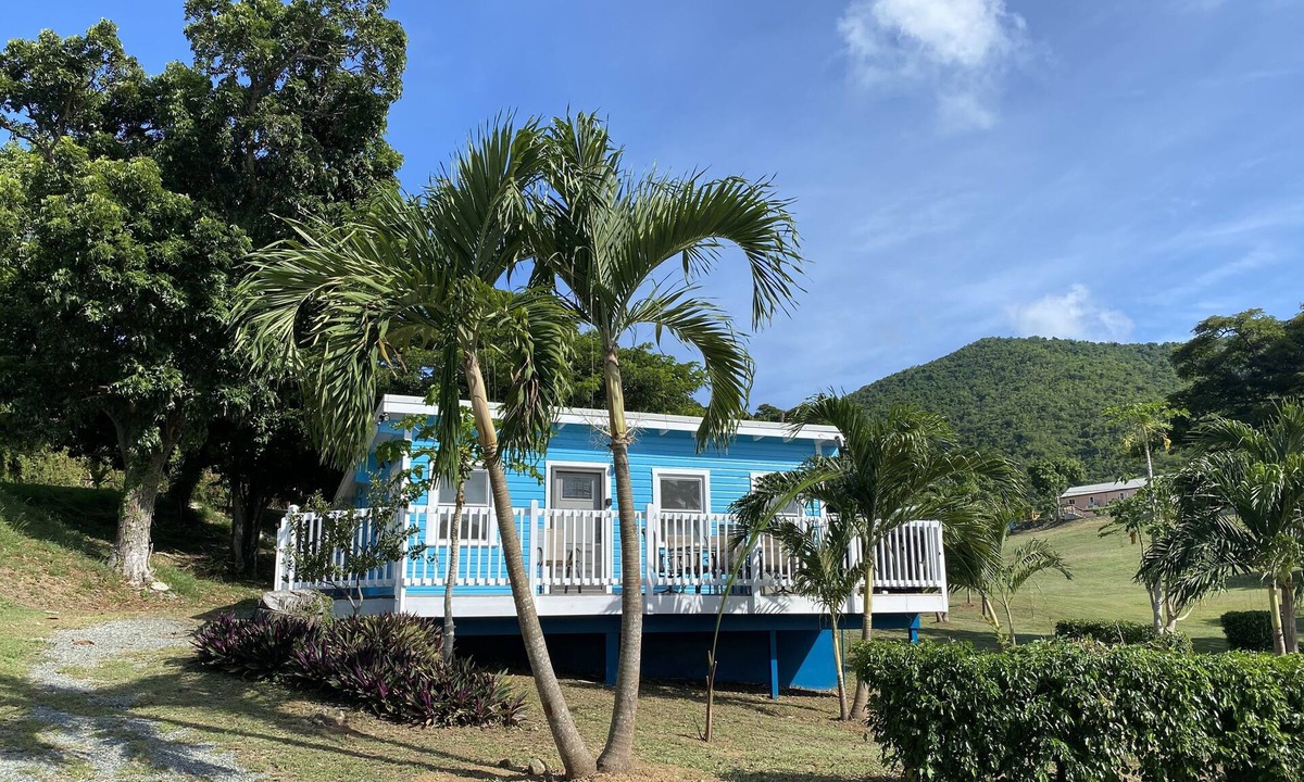 Estate Cane Bay Cottage | PRIVATE Beachview Cottage Steps to Cane Bay Beach