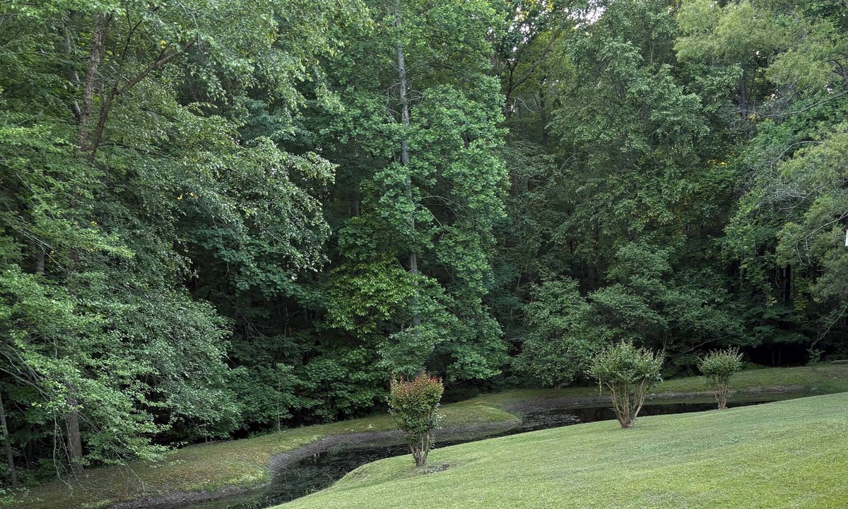 Hampton Cottage | Private Cottage Retreat- Peaceful Escape w/Parking
