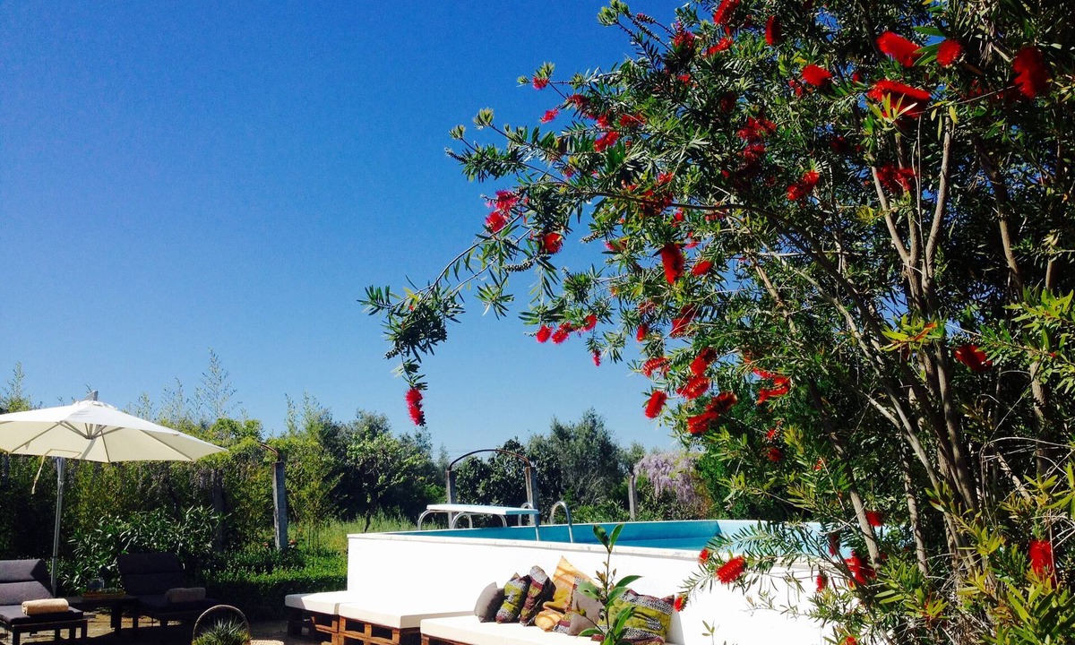Alvito House | Private farm with pool in the Alentejo