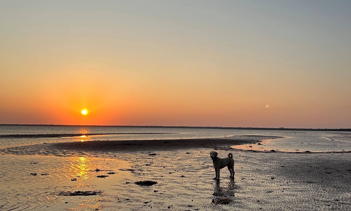 Miscouche Cottage | Private little waterfront cottage on PEI’s South Shore