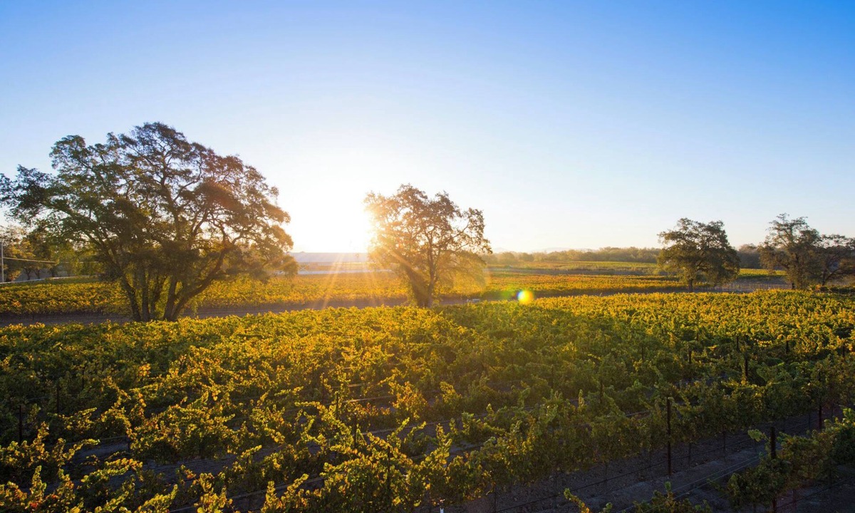 Windsor Other | Private Vineyard Residence - 10 minutes from Healdsburg