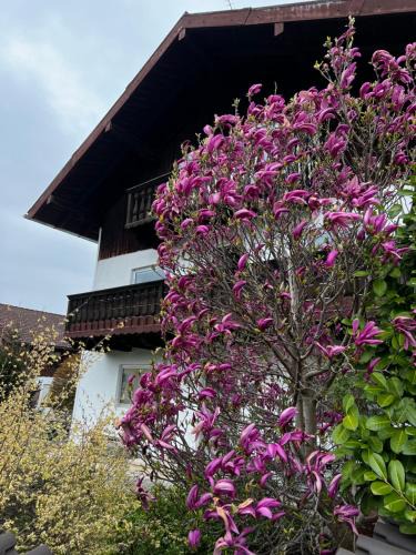 Sondermoning Apartment | Privathaus Sieglinde