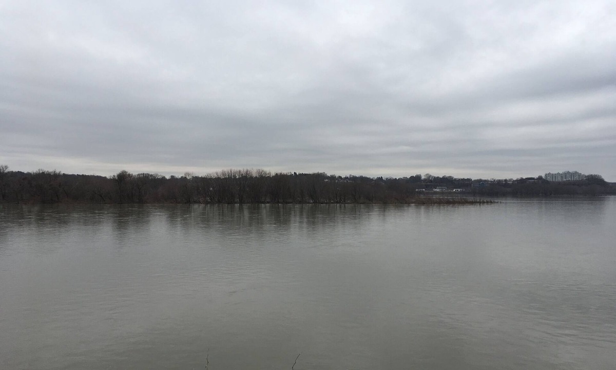 Harrisburg House | Professors' Place - Beautiful River View! WHOLE HOUSE! 20 min. to Hershey