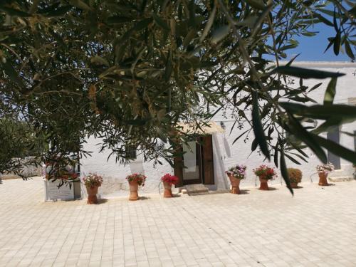 Cozzana Apartment | Profumo Di Terra