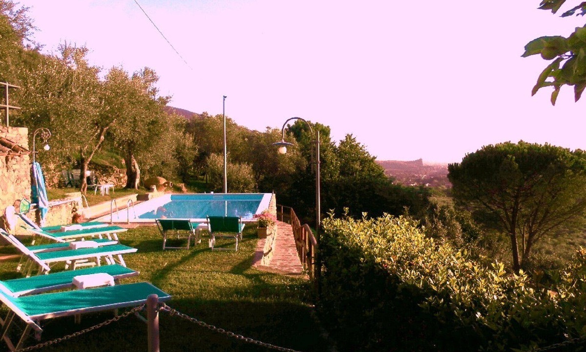 Calci Apartment | Promotion Typical Tuscan house surrounded by olive trees