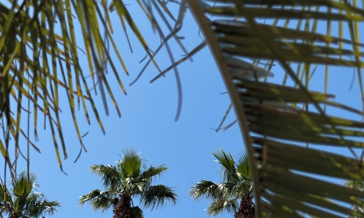 Saint-Raphael Hotel | Provençal Hotel