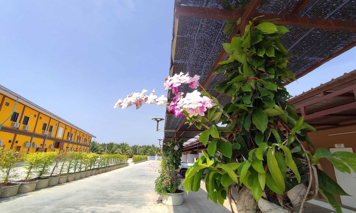 Bang Phae Hotel | PUENG LUANG RESORT.