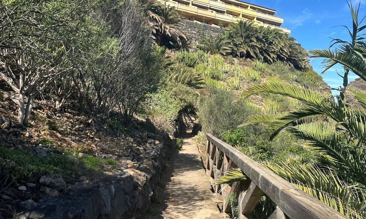 Puerto de la Cruz Hostel | Puerto Nest Hostel