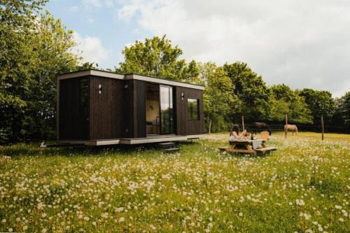 Dame-Marie Cabin | Puits Carré - Parcel Tiny House - Tiny House près des chevaux dans le Perche MAE-8941